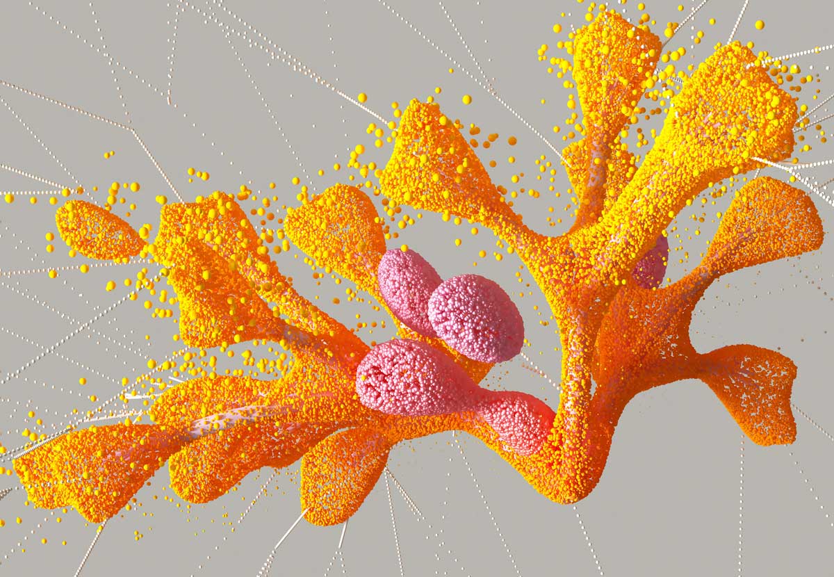 orange
